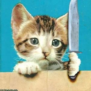 Meet your Posher, Oliver